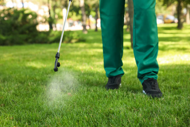 Best Flea Control Services  in Punta Gorda, FL
