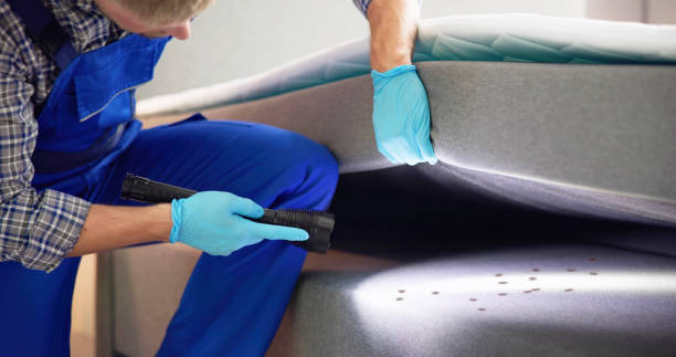 Best Cockroach Control Services  in Punta Gorda, FL