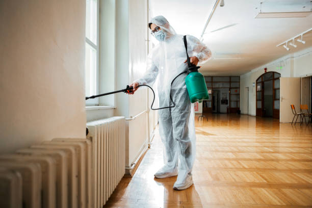Insect Control in Punta Gorda, FL